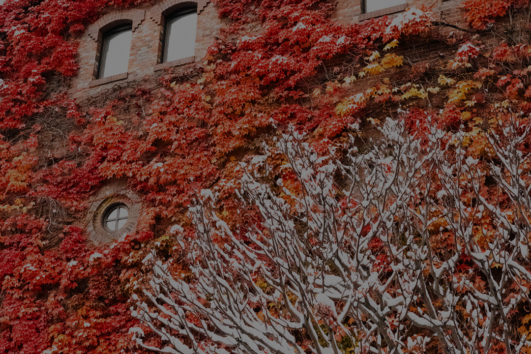 FORUM SNOWBOARDS（フォーラム スノーボード）| スノーボード