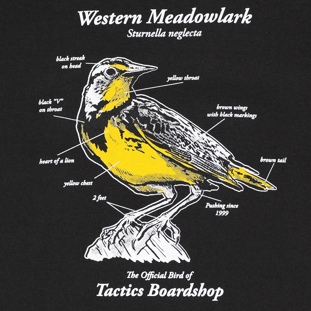 TACTICS（タクティクス）| MEADOWLARK SCIENTIFIC T-SHIRT / BLACK | スノーボード・スケートボードのTACTICS JAPAN