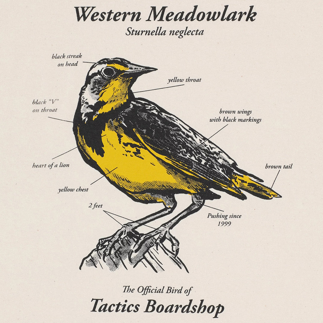 TACTICS（タクティクス）| MEADOWLARK SCIENTIFIC T-SHIRT / NATURAL | スノーボード・スケートボードのTACTICS JAPAN